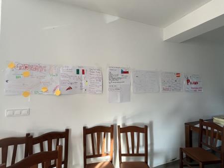 Mladinska izmenjava (3)